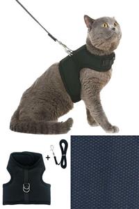 Carneil Bluetick Koyu Lacivert Air Kedi Ve Cins Köpek Tasması Yy04