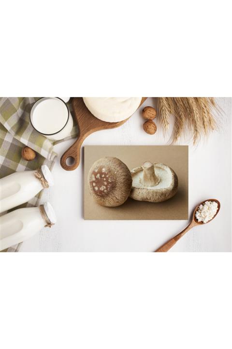 Glory Glassware Mantar Cam Kesme Tahtası