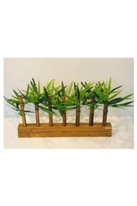 Lam'Bamboo Enjoy Mini Bambu Separatör Ayraç 70 Cm